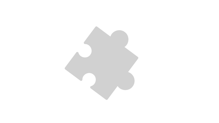 Pielāgotas integrācijas